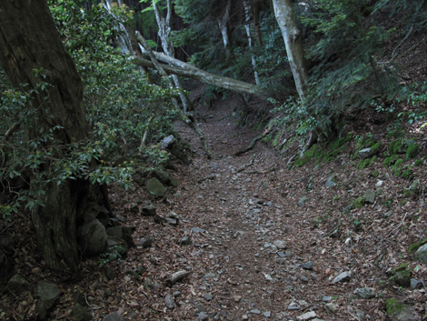20140502hike (409)